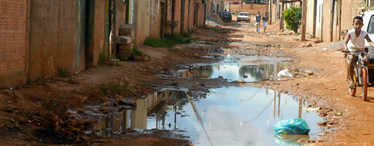 O saneamento básico e a proliferação das pragas urbanas